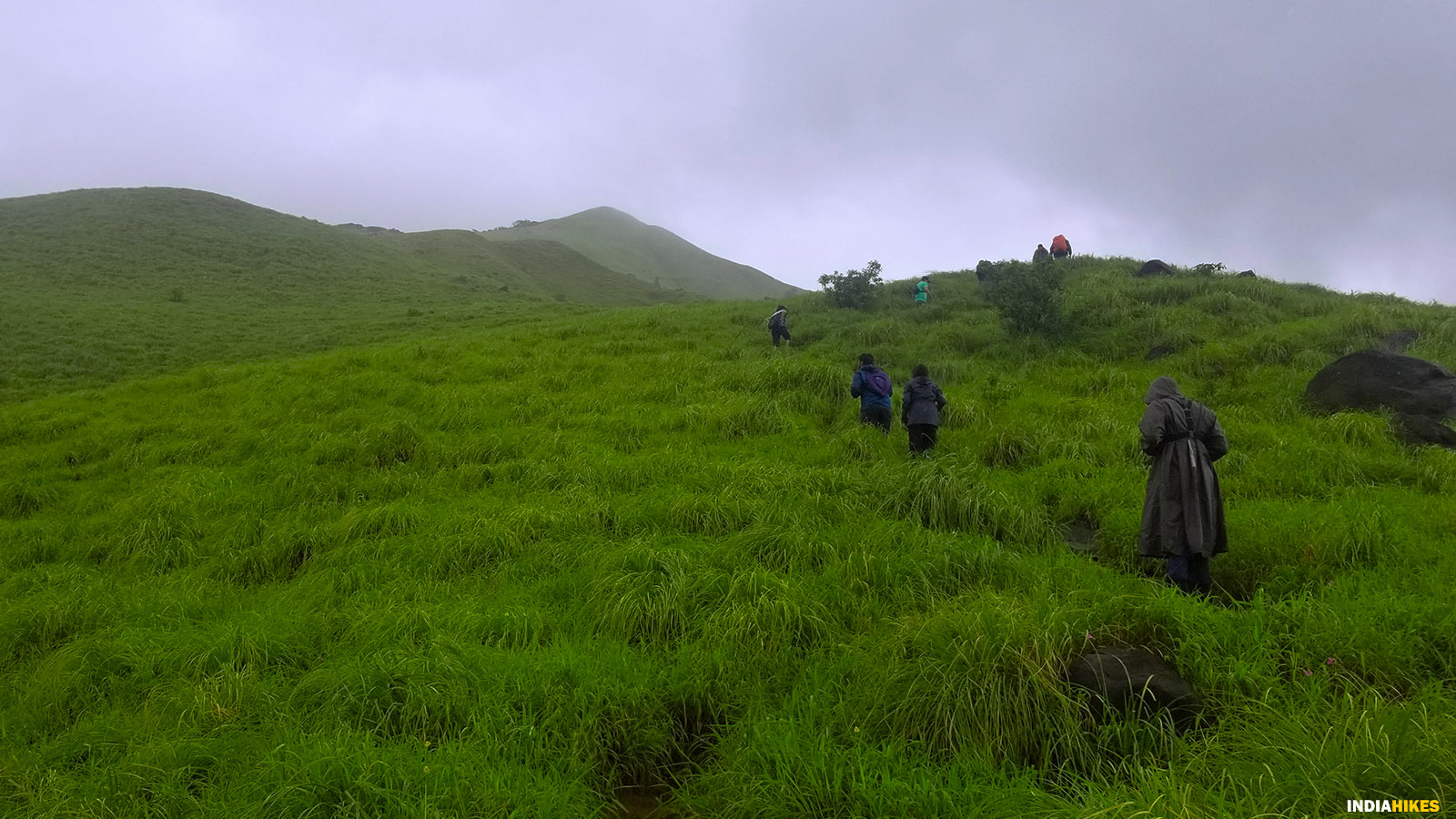 Kumara Parvatha Trek The Most Challenging Trek in the Western